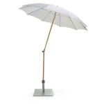 Small parasol ash wood Nature