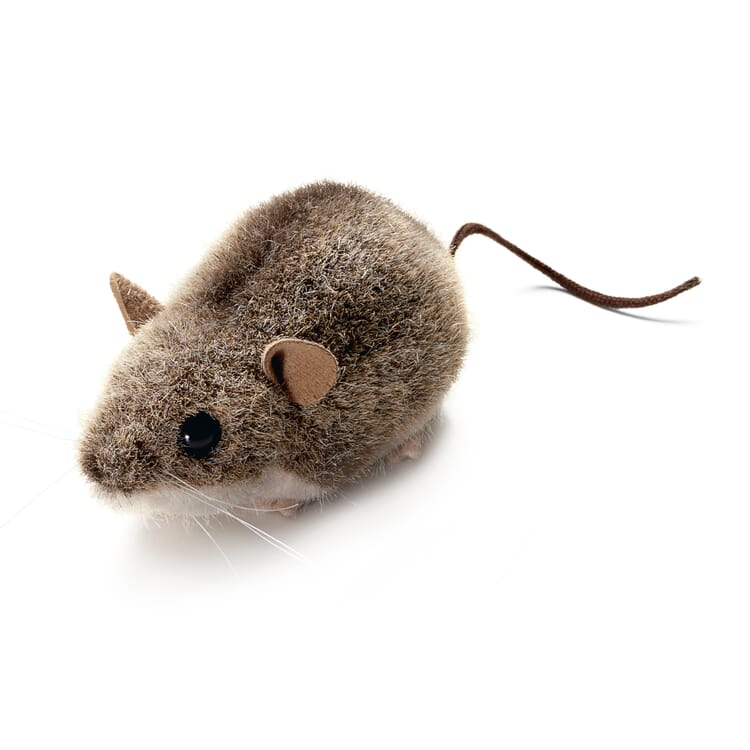 Souris des bois de Kösen