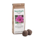 Semillas de flores Bolas de semillas Flores comestibles
