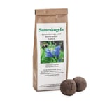 Blumensamen Samenkugeln Bienen- und Schmetterlingsweide