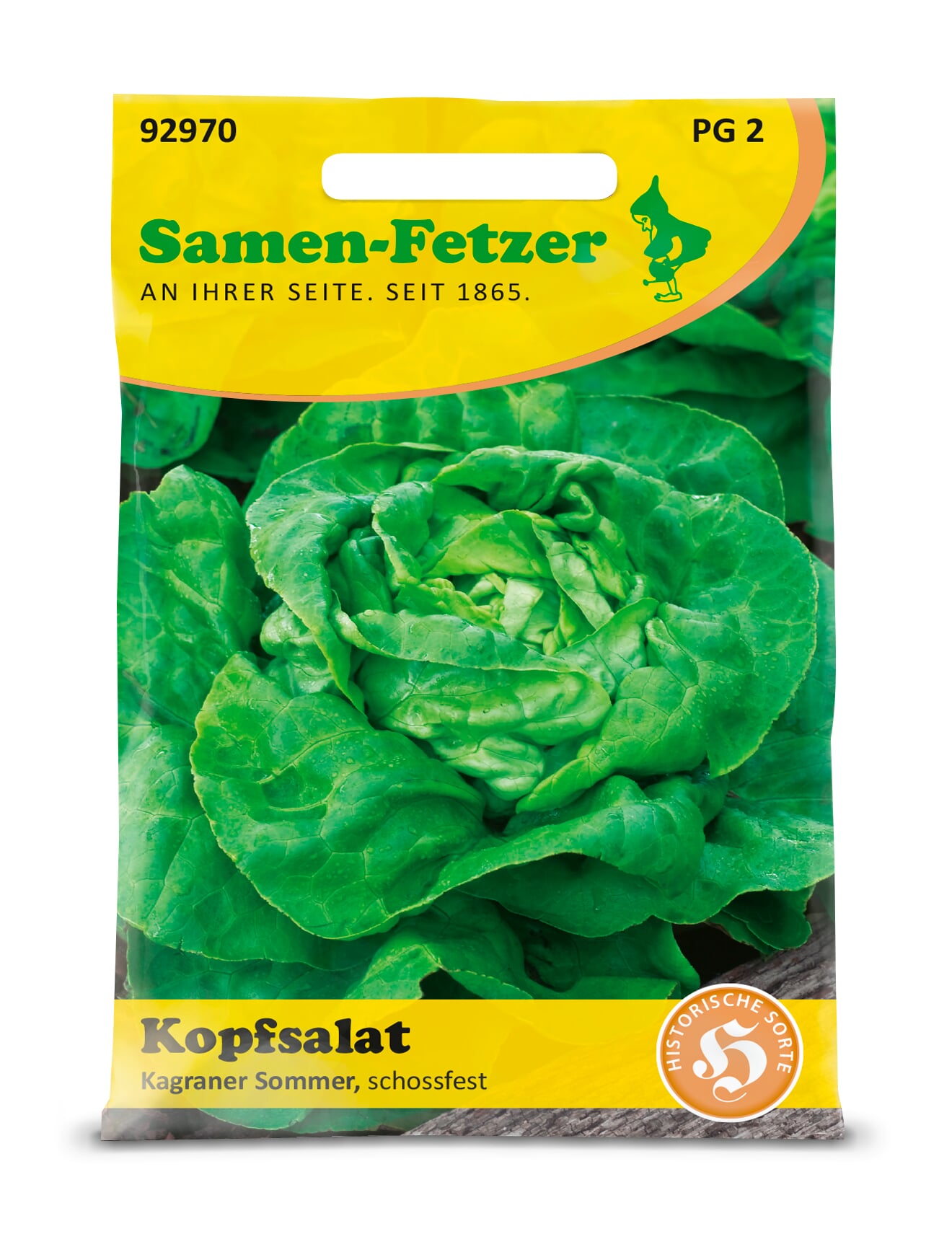 künstlicher elefantenfuß Elefantenfuß – Robuste Zimmerpflanze bestellen – MO BLUMEN main image 1