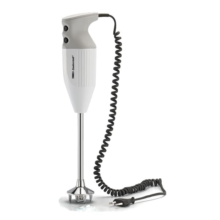 Mixeur plongeant ESGE P 350 Profi, 300 watts