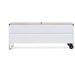 Truhe und Sitzbank CMB RAL 7035 Lichtgrau