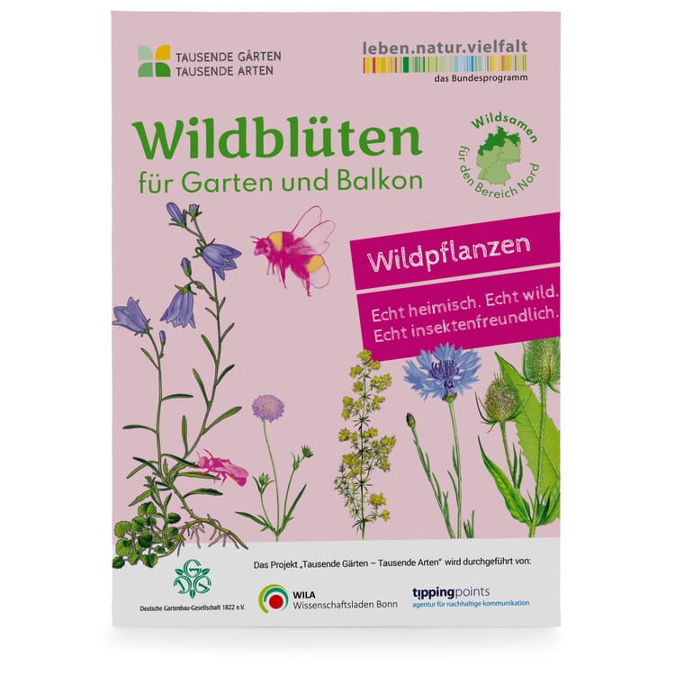 Wildblumen für Balkon und Garten gebietsheimisch, Nord