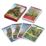 Quartett nature : arbres indigènes Arbres fruitiers