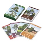 Nature quartet native trees Conifers