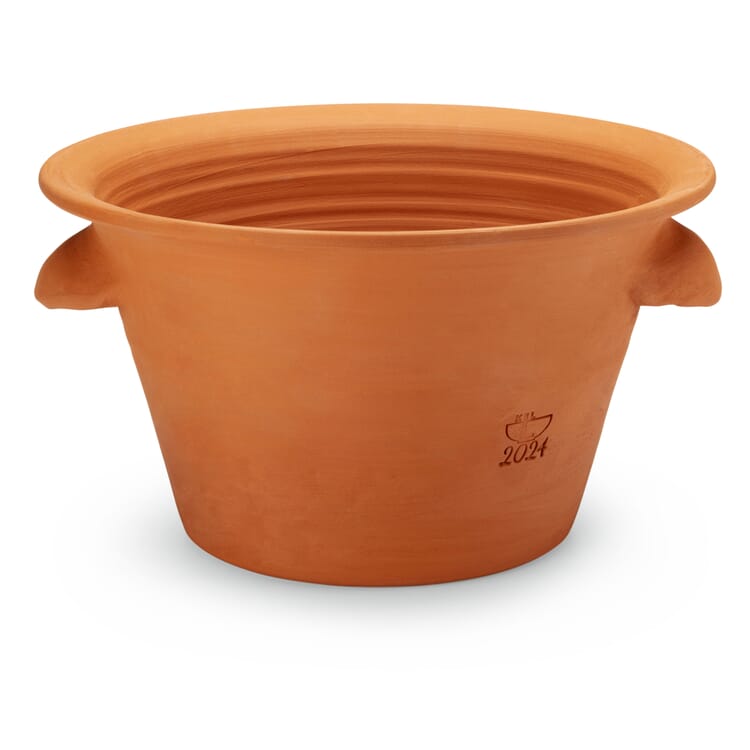 Maceta de terracota para tulipanes