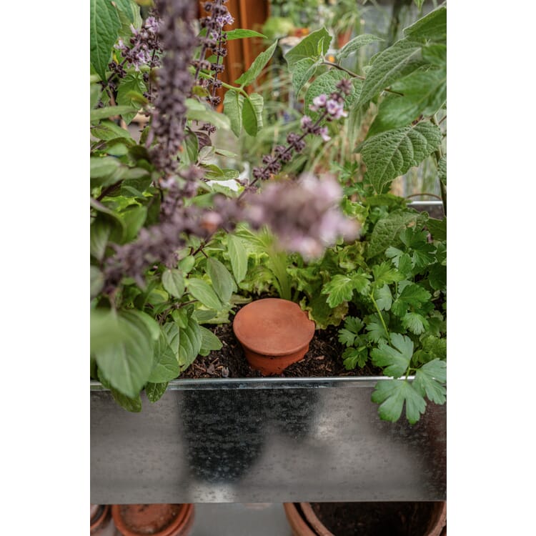 Vandingspotte til plantekasser