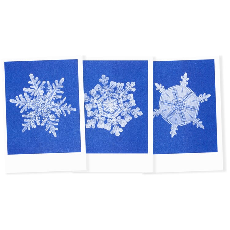 Lot de cartes postales Riso Hiver, flocon de neige