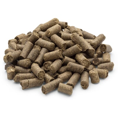 lebensbaum düngen Thuja Dünger | perfekt gedüngte Koniferen-Pflanzen! main image 0
