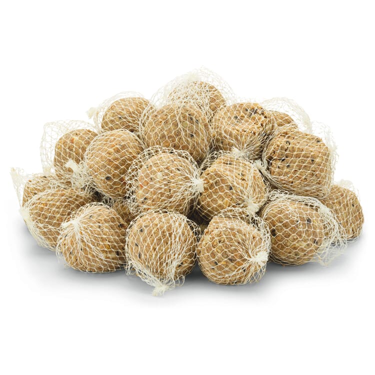 Bird dumplings with insects