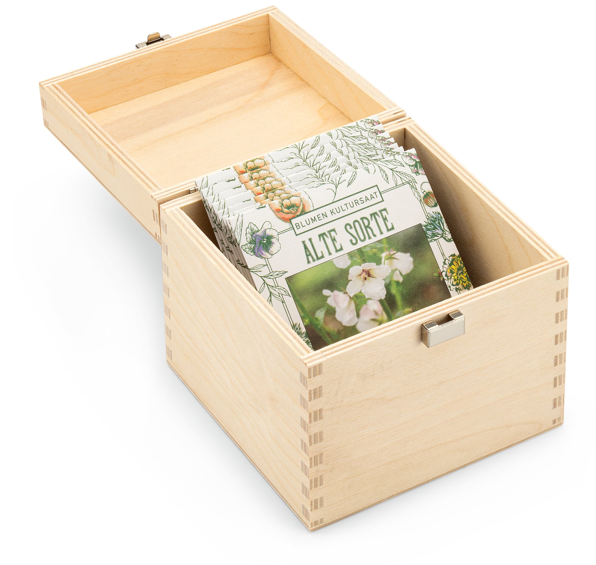 natternkopf saatgut kaufen Natternkopf-Samen – LaCaTho GmbH