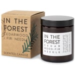 Coudre Berlin scented candle Cedarwood & Fir Needle