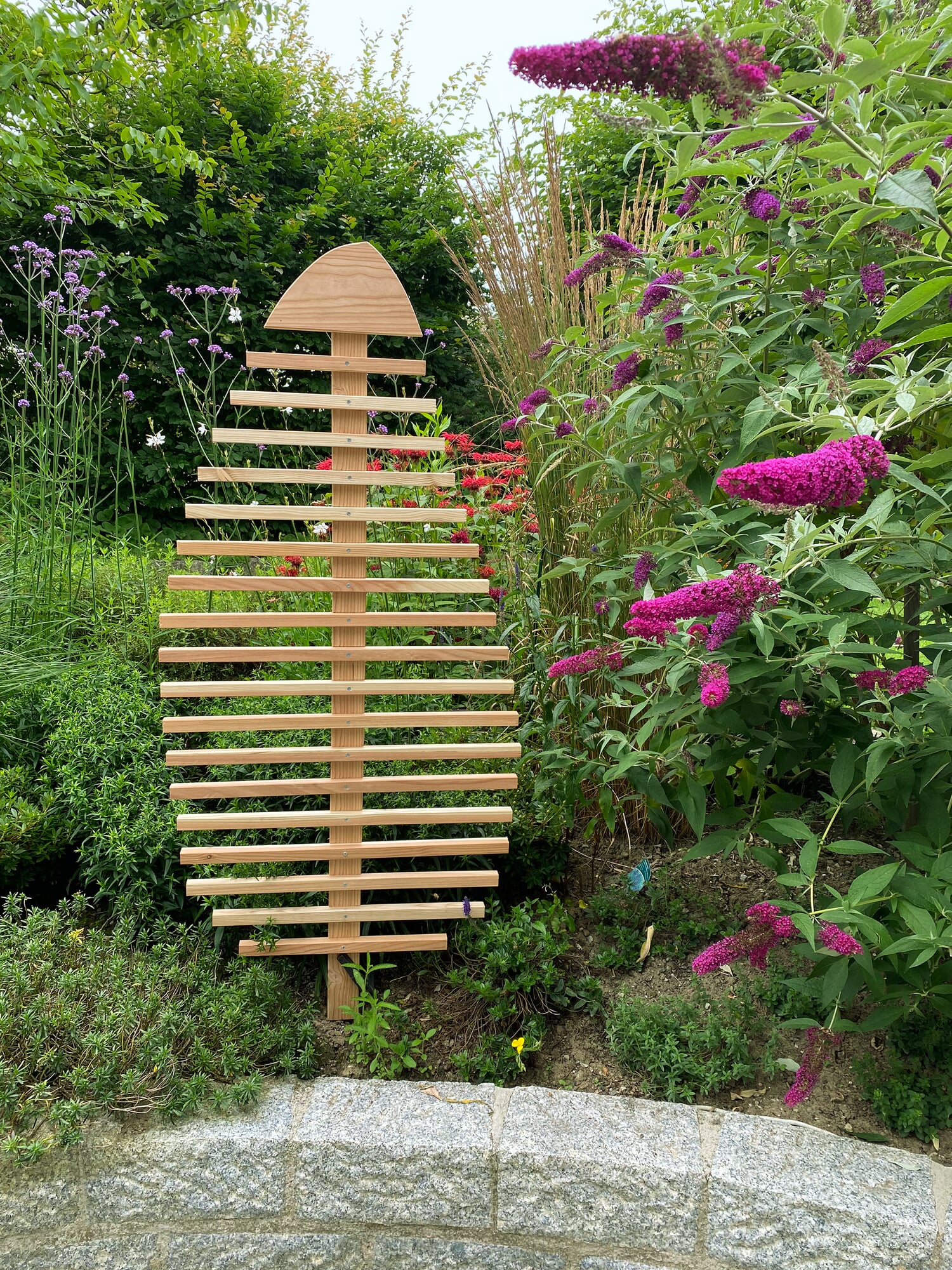 knig kaktus Cactus Opuntia | 120cm | Online kaufen