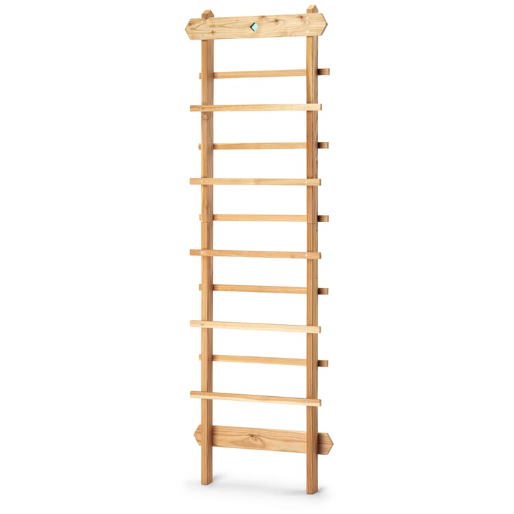 Ladder beklimbaar object