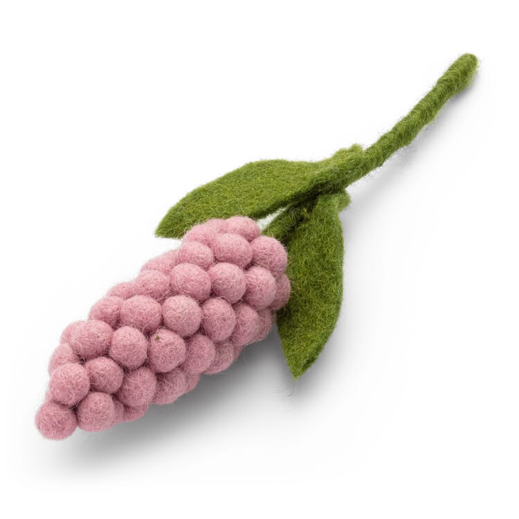 Feutre de jacinthe de raisin