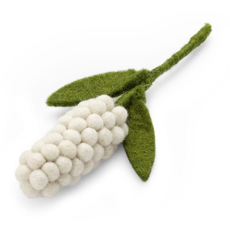 Feutre de jacinthe de raisin, Blanc