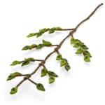Beech branch felt