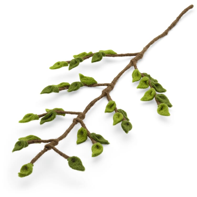 Buchenzweig Filz