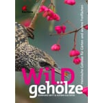 Arbres et arbustes sauvages