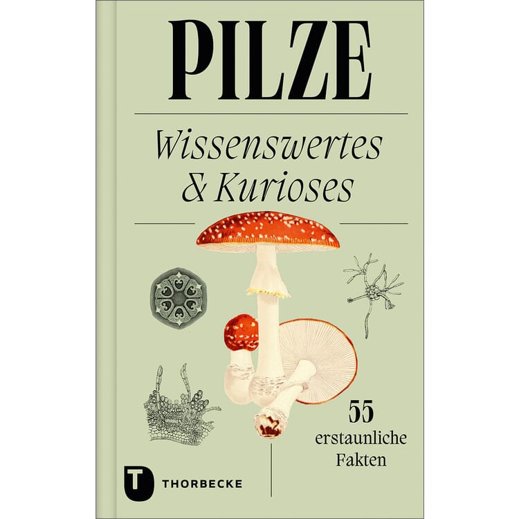 Pilze