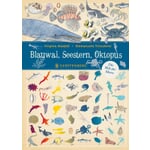 Baleine bleue, étoile de mer, pieuvre