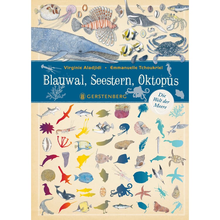 Baleine bleue, étoile de mer, pieuvre