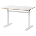 Work Desk