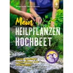 Ma plate-bande de plantes médicinales