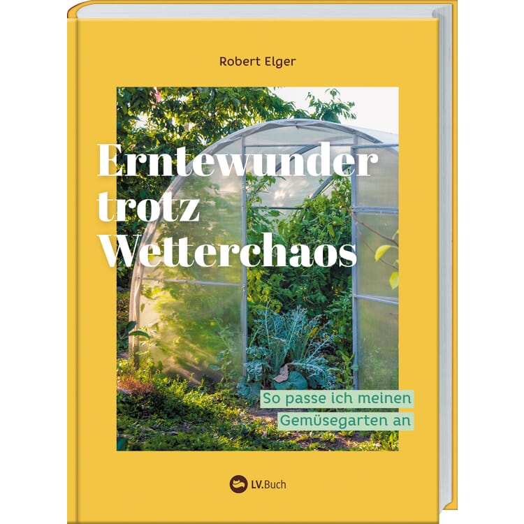 Erntewunder trotz Wetterchaos