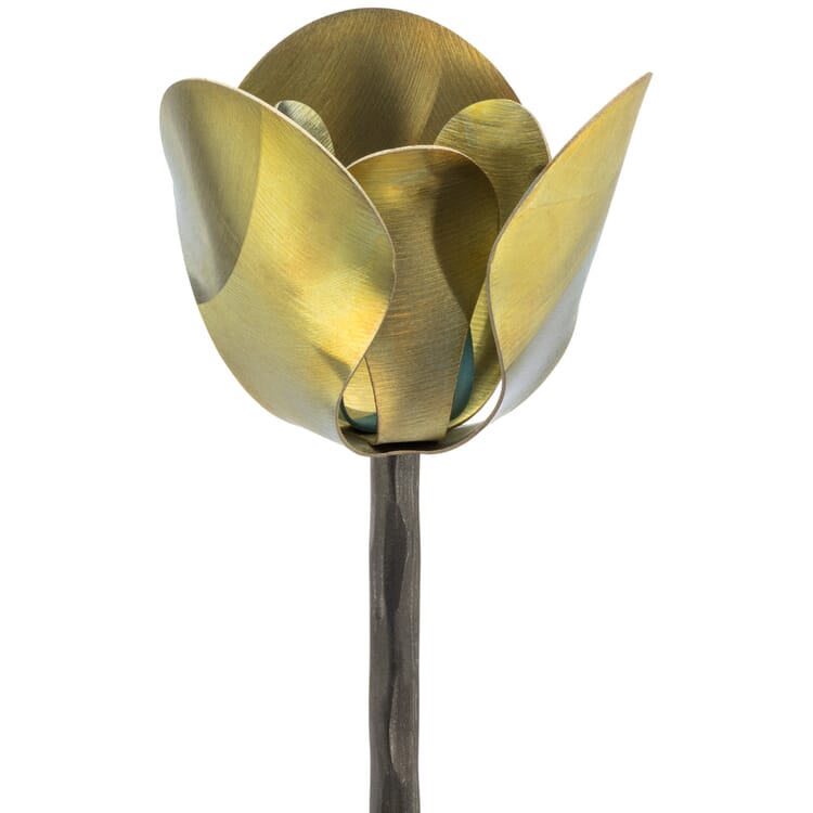 Asta per la semina del fiore di titanio, Dorato