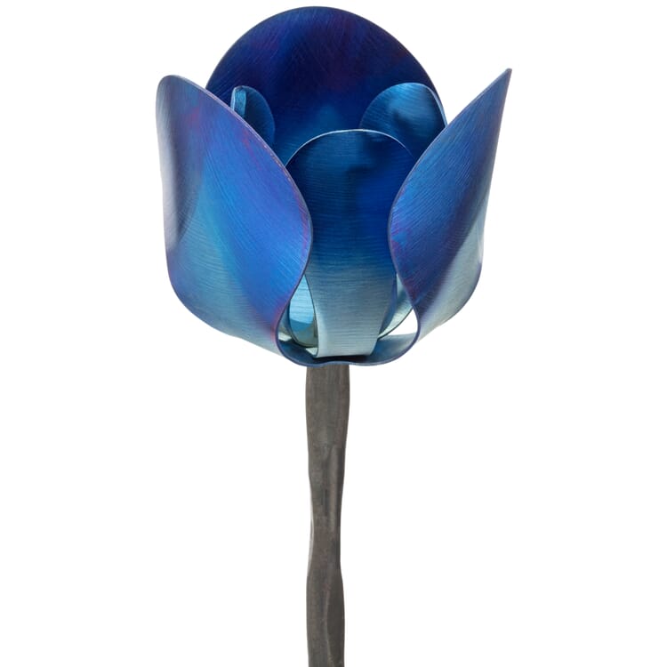 Tige de plante Fleur de titane, Bleu