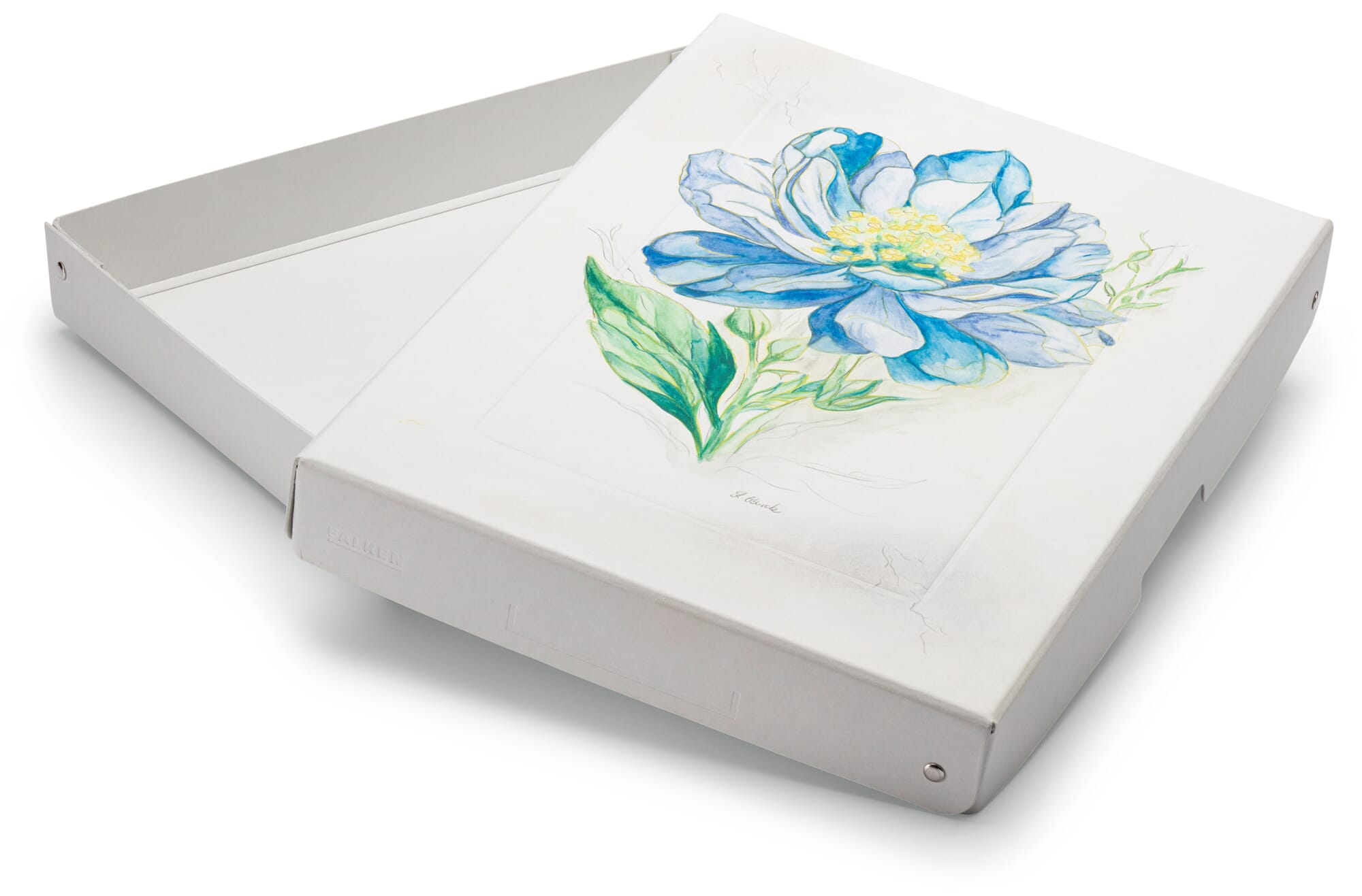 Archive box Archive cardboard, 4 cm | Manufactum