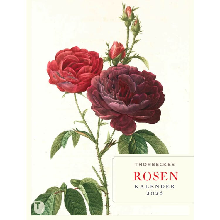 Thorbecke Rosen-Kalender 2026