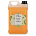 Savon liquide de Marseille Verveine 3 l