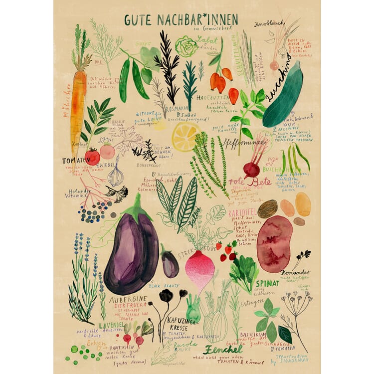 Goede buren puzzel