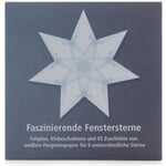 Étoiles de fenêtre Blanc fascinant