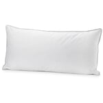 Oreiller 15% duvet de canard 40 × 80 cm