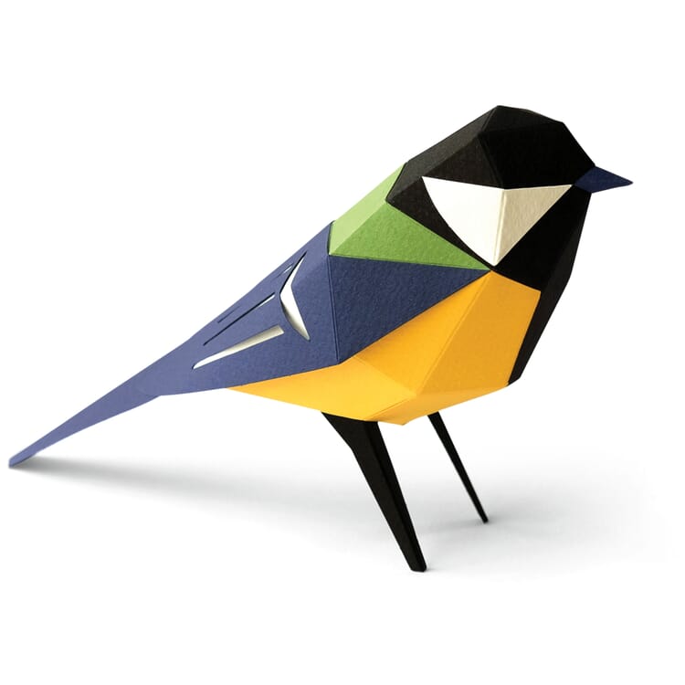 Maquette en papier 3D Oiseaux, Parus Major