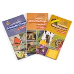 Tarjetas de identificación de insectos (3 unidades)