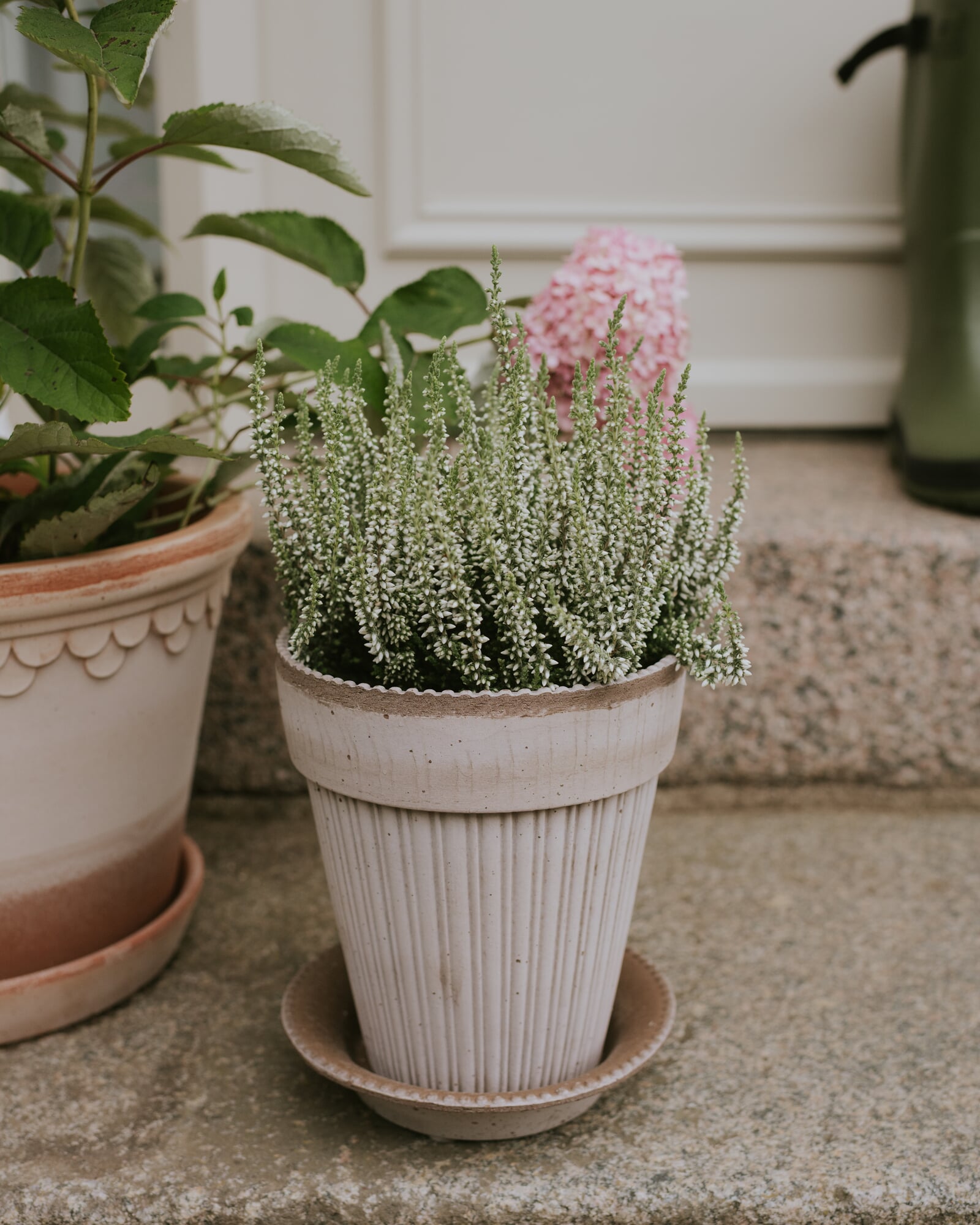 Simona plant pot with saucer, Large | Manufactum