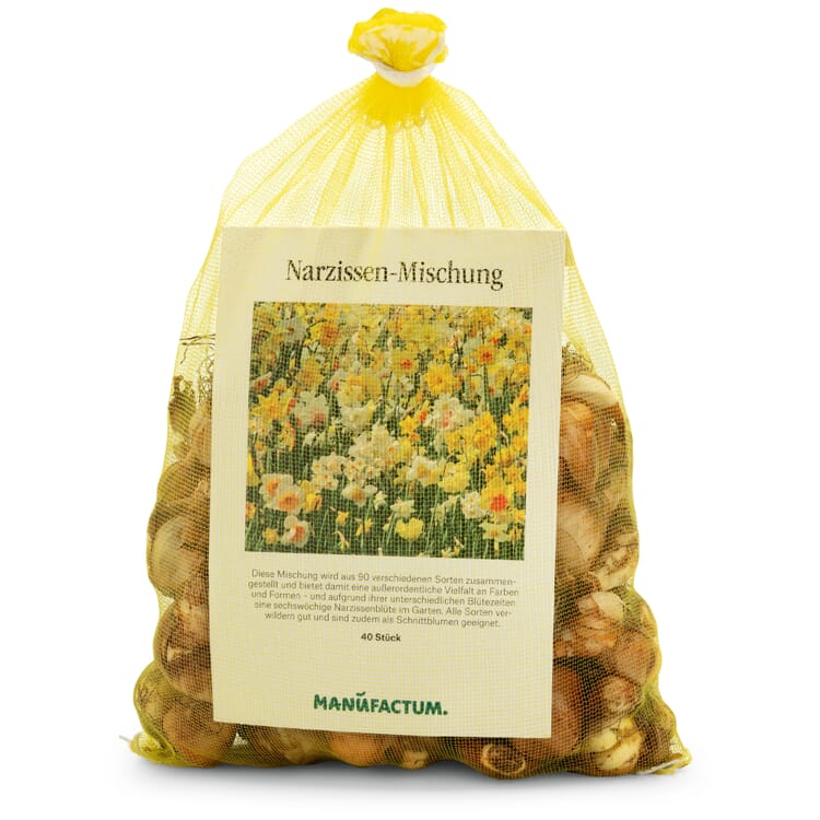 Blumenzwiebeln Narzissen-Mischung