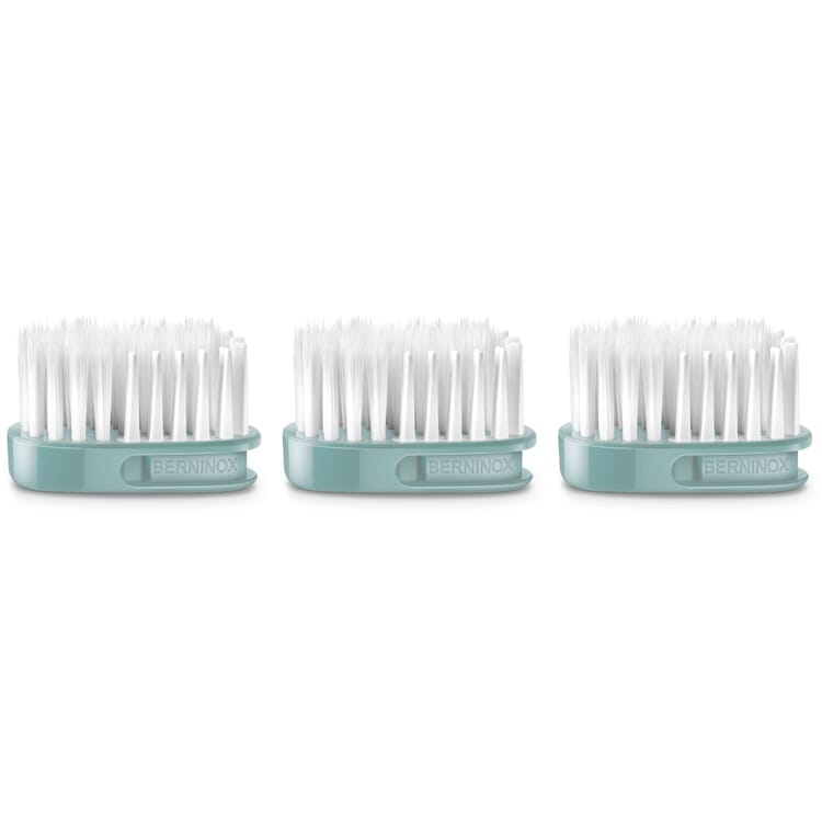 Tête de brosse de rechange pour brosse à dents Berninox 316, Moyen