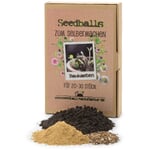 Flower seeds Seed balls Do-it-yourself set