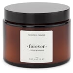 The Olphactory scented candles Forever