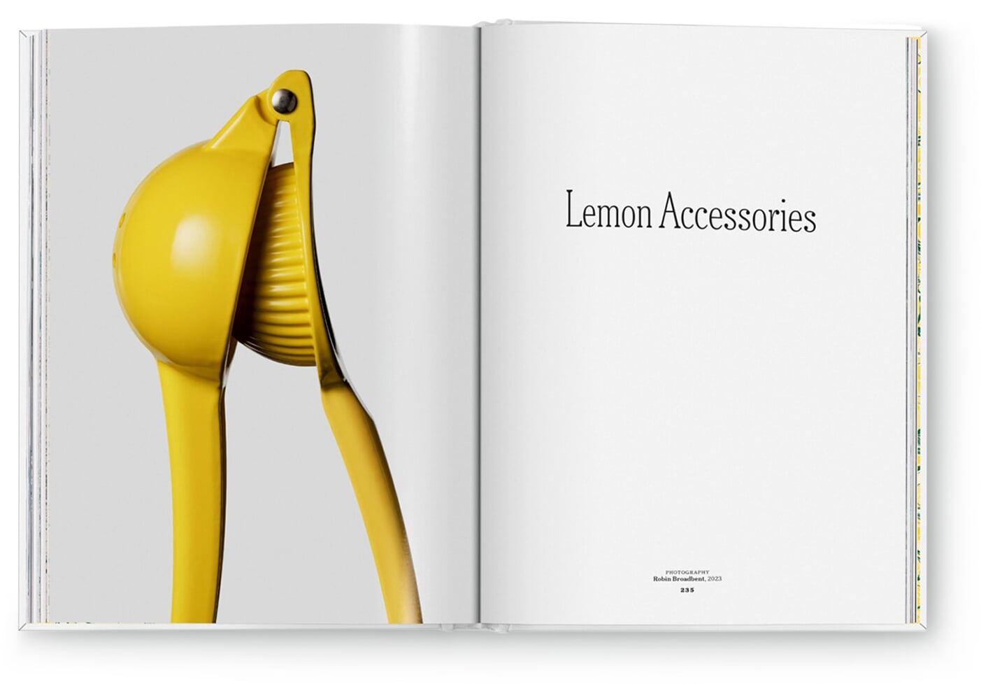The Gourmand's Lemon | Manufactum
