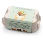 Bloembollen in een geschenkdoos