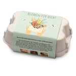 Boules de fleurs dans une boîte cadeau