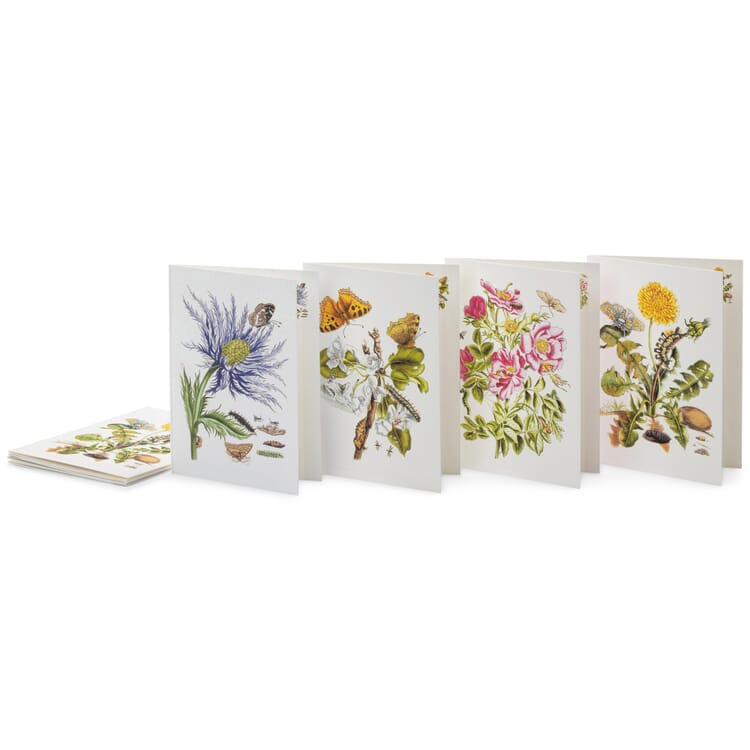 Tarjetas de felicitación con motivos florales Maria Sibylla Merian