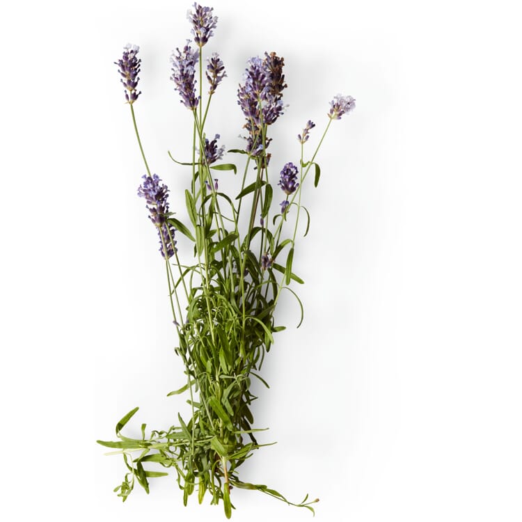 Ricarica per sapone naturale Soeder, Lavanda-salvia-rosmarino